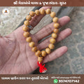 Original Brown Tulsi Berakho Bracelet Online (10MM Spiritual Wrist Mala).