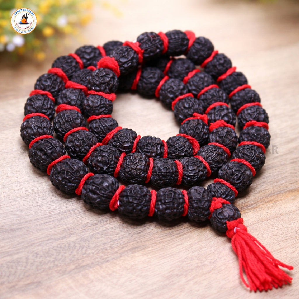 Original 5 Mukhi Black Rudraksha Japa Mala Online (54+1 Beads).