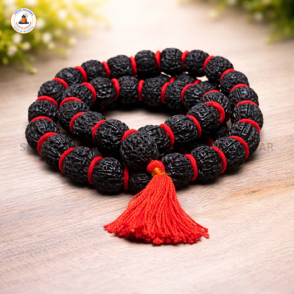 Original 5 Mukhi Black Rudraksha Japa Mala Online (54+1 Beads).