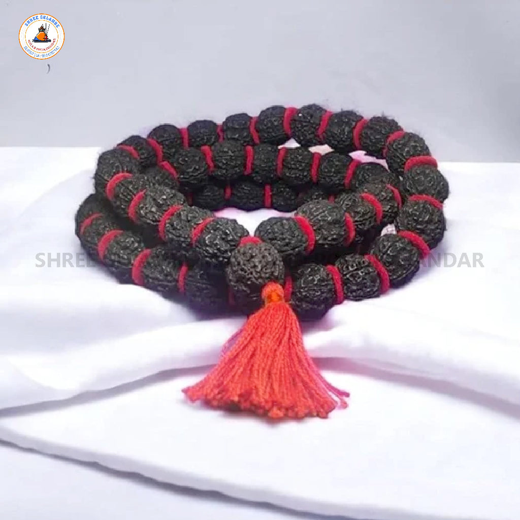 Original 5 Mukhi Black Rudraksha Japa Mala Online (54+1 Beads).