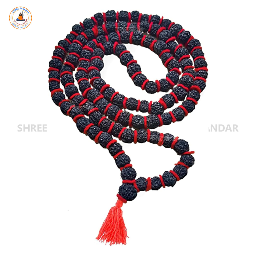 Original 5 Mukhi Black Rudraksha Japa Mala Online (54+1 Beads).