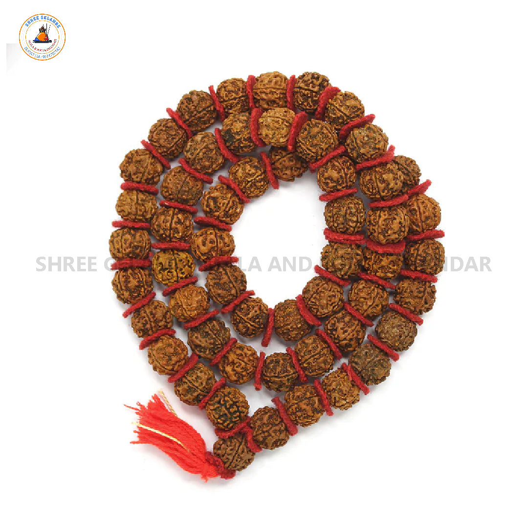 Original 5 Mukhi Rudraksha Japa Mala Online (54+1 Beads).