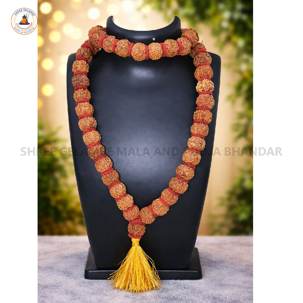 Original 5 Mukhi Rudraksha Japa Mala Online (54+1 Beads).