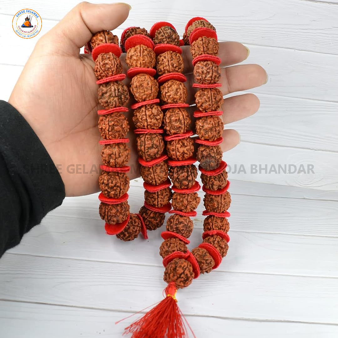 Original 5 Mukhi Rudraksha Japa Mala Online (54+1 Beads).