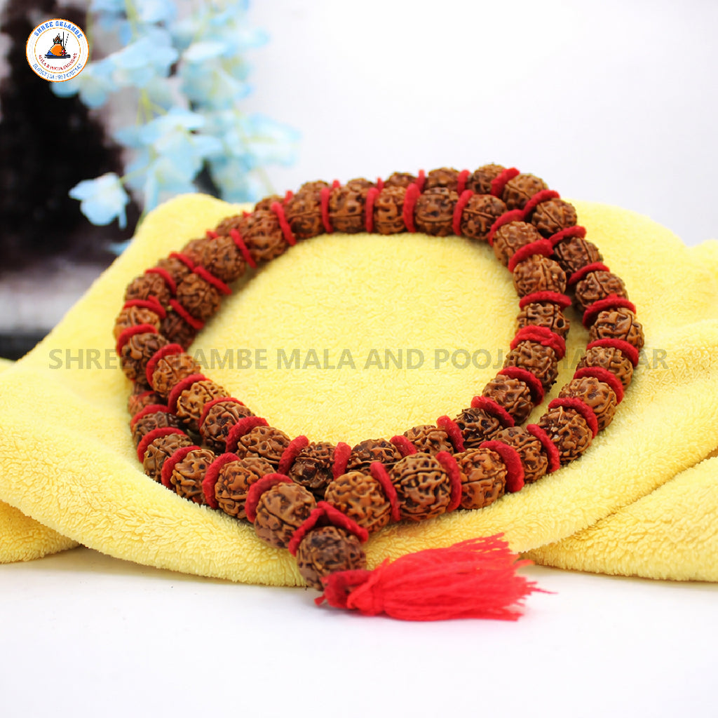 Original 5 Mukhi Rudraksha Japa Mala Online (54+1 Beads).